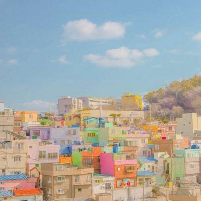 乐鱼APPapp下载截图