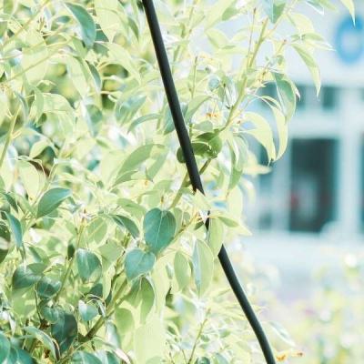 天博网页版入口平台截图